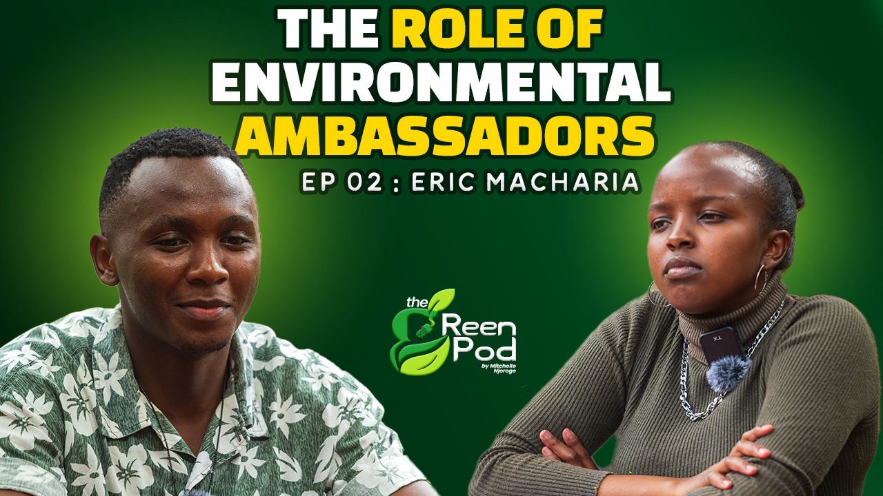 The Role of Environmental Ambassadors