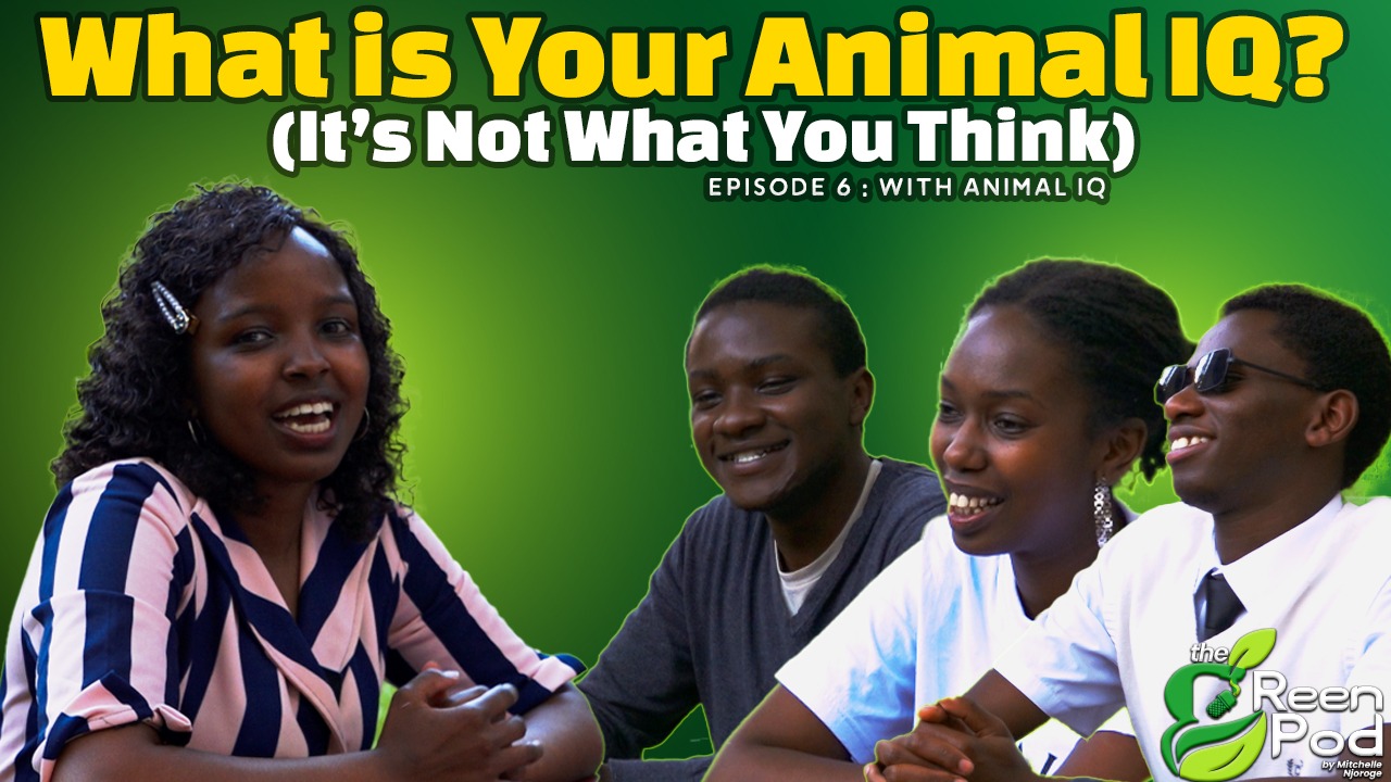 what is your animal IQ? Its not What you think with Animal IQ